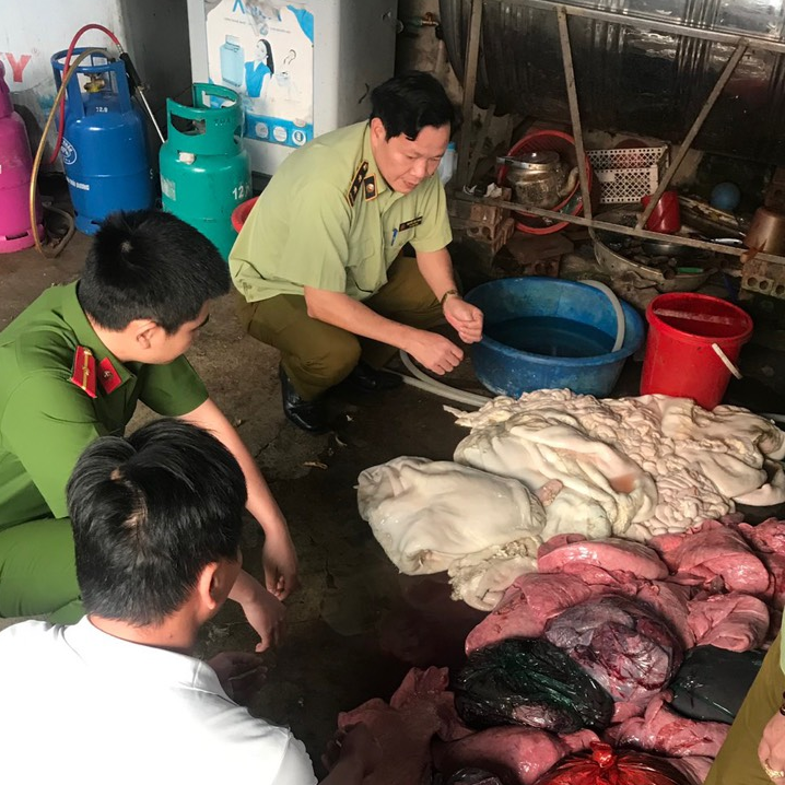 Cục QLTT Lai Châu phát hiện 220 kg nội tạng trâu, bò bốc mùi hôi thối